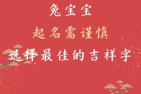 11月份出生的属兔男孩应如何取名字姓名