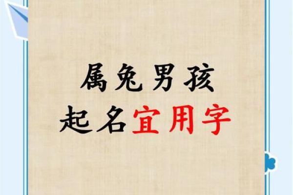 11月份出生的属兔男孩应如何取名字姓名