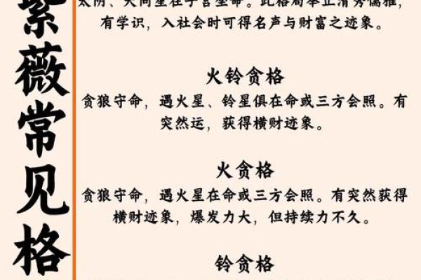 城府深的紫薇斗数