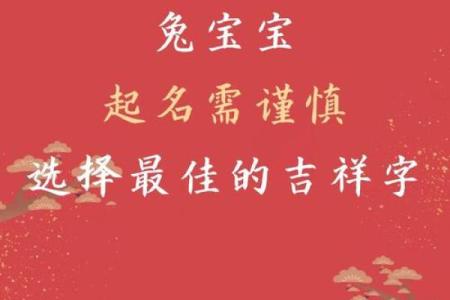 11月份出生的属兔男孩应如何取名字姓名