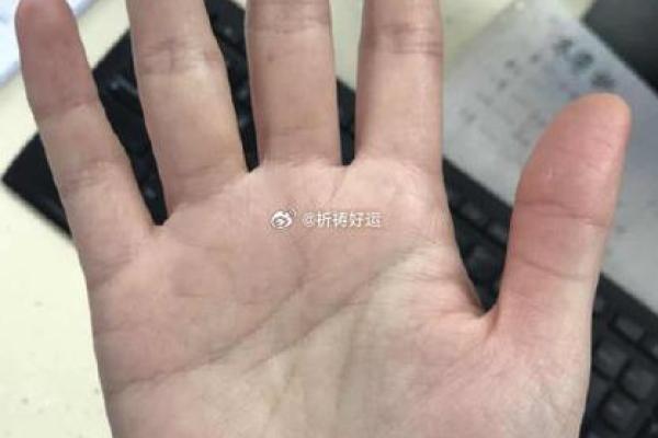 什么是八字掌,八字掌的标准手型是什么