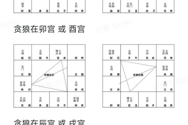 《紫微斗数》丙级星星曜组合特性