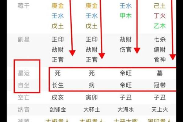 甲戌丙子己卯乙丑八字详解及运势分析