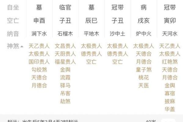甲戌丙子己卯乙丑八字详解及运势分析