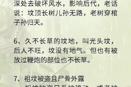 选择墓地风水的禁忌