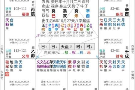 19年紫薇斗数