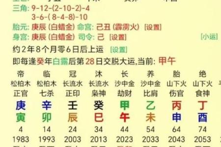 八字乙巳日
