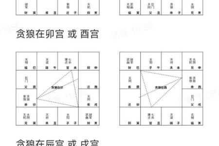 《紫微斗数》丙级星星曜组合特性