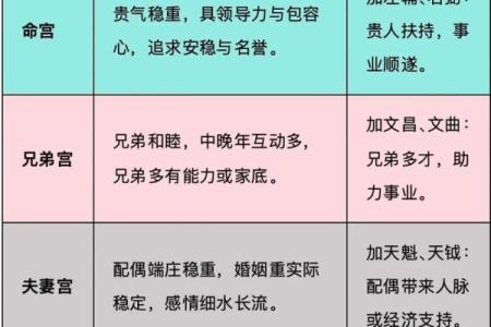 紫薇斗数干什么用的