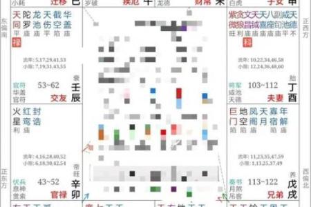 紫薇斗数慈禧命盘