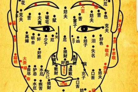 眉毛很浅在面相算命中是怎么说