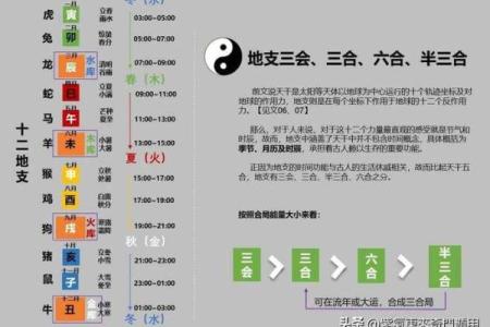 八字中地支半合局是什么意思