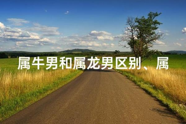 属龙和属牛的八字合吗