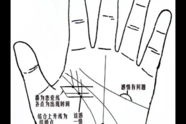 手相算命图解，手相图解大全