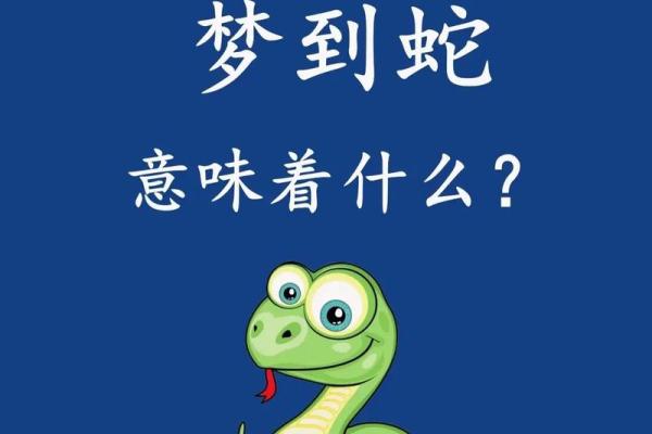 紫薇斗数吉凶指数