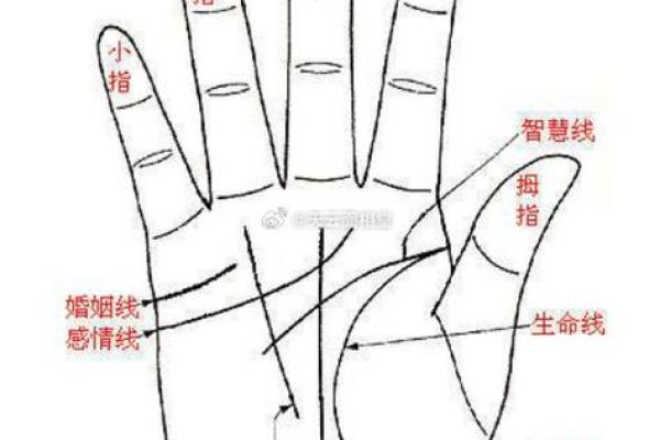 女性手掌纹算命图解婚姻