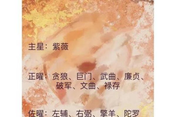 紫薇斗数的夹
