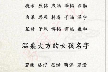 怎么样给晚上1点出生的属鸡男孩起名字合适姓名