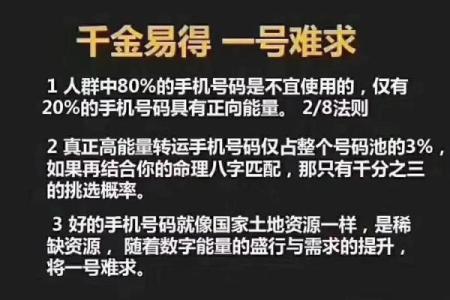 用电话号码算命