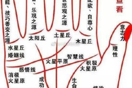 看手相算命：第六课 实际看