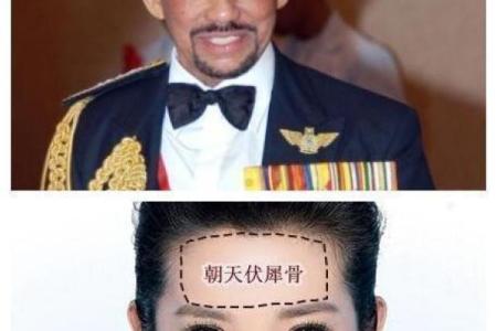 广州哪里可以摸骨算命