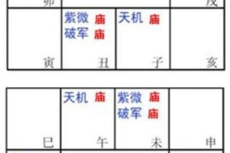紫薇斗数命宫主星太阳