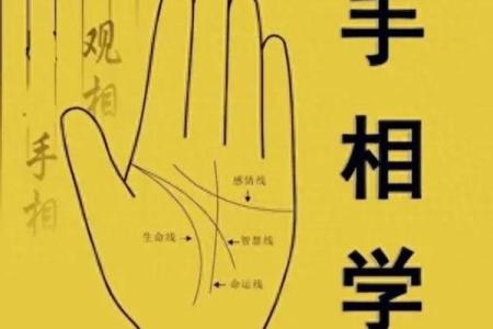 女性手掌纹算命图解婚姻