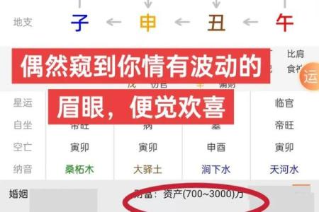 易奇八字每日运程,算命八字排盘软件下载