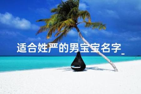 严姓男孩名字大全-严姓男孩起名字大全-严姓名字大全姓名