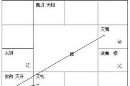 紫薇斗数对冲忌