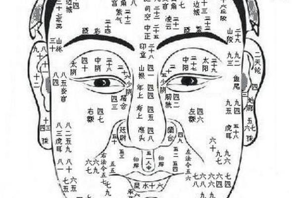 算命是怎样算出来的呢