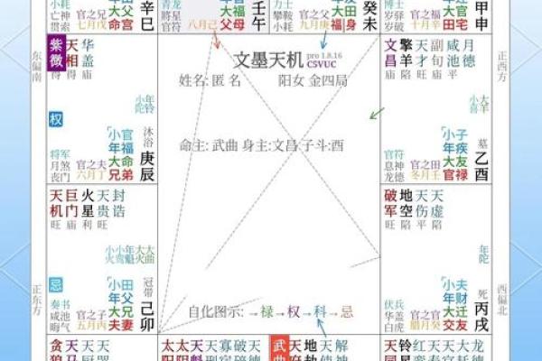 紫薇斗数带入法