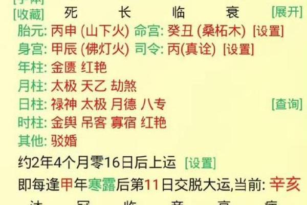 八字支神