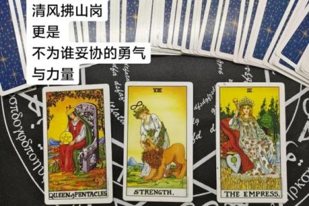 塔罗测试：什么职业适合你？