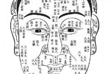 算命是怎样算出来的呢