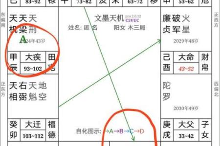 罗镇老师紫薇斗数