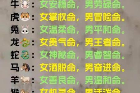 算命的命运怎么改变