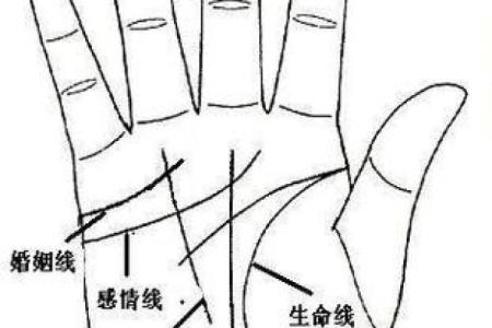 看手相算命图解：掌线