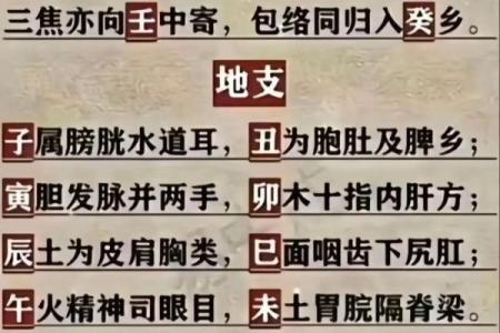 五行生辰八字取名字免费,五行取名字免费起名