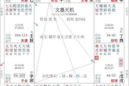紫薇斗数壬化禄