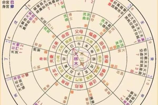 紫薇命盘紫薇斗数