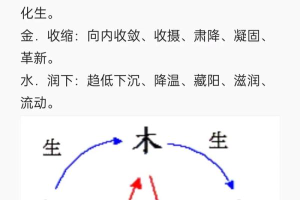 周易紫微斗数——五行职业论