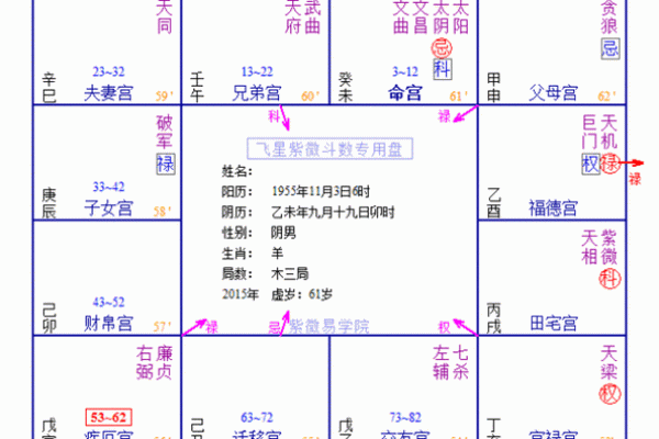 紫薇斗数府相