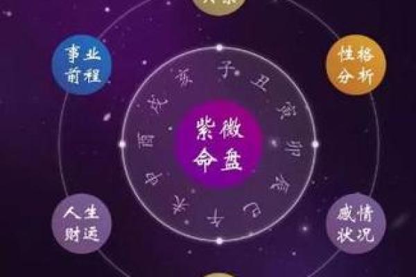紫薇斗数的紫薇星