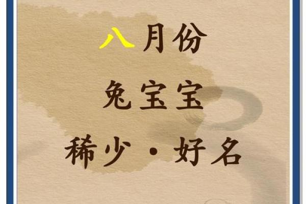 属兔辰时出生的男孩最好用什么字取名姓名