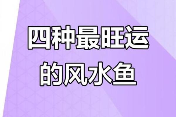 养风水鱼有什么讲究？