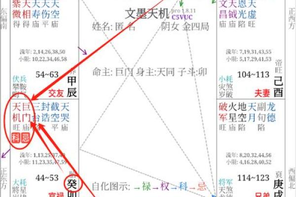 紫微斗数诸星落诸宫之:巨门星财帛宫详解 紫微斗数诸星落诸宫之:巨门星财帛宫详解