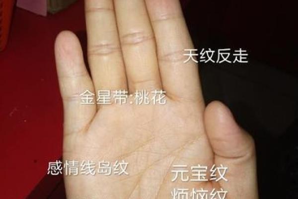 台湾最厉害的算命网站