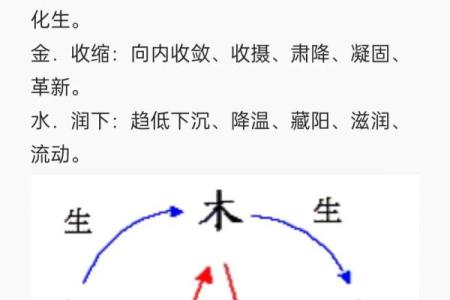 周易紫微斗数——五行职业论