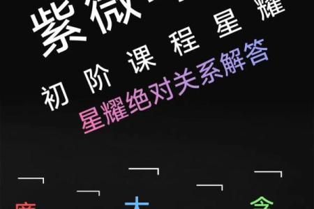 紫薇斗数府相